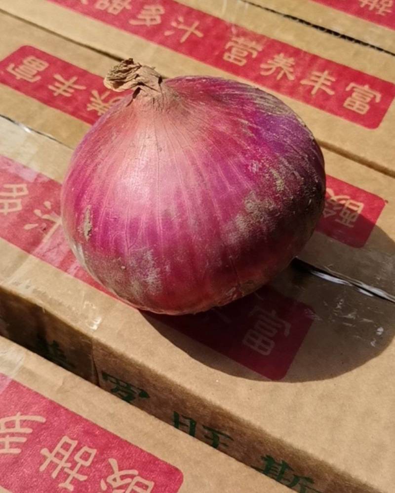 聊城二红洋葱