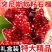 突尼斯软籽石榴，市场果，精品商超果，榨汁工厂果，电商一件代发