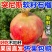 突尼斯软籽石榴，市场果，精品商超果，榨汁工厂果，电商一件代发