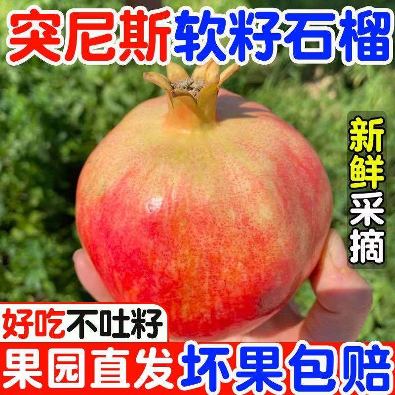 突尼斯软籽石榴，市场果，精品商超果，榨汁工厂果，电商一件代发