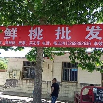 猕猴桃博山产地直销自家果园，代收代购，有意联系图☎️