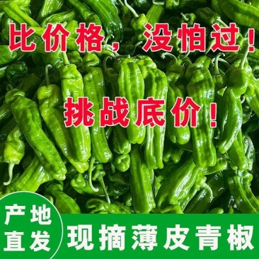 内蒙无呼叫，昼夜温差大，口感好，皮薄