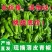 内蒙无呼叫，昼夜温差大，口感好，皮薄