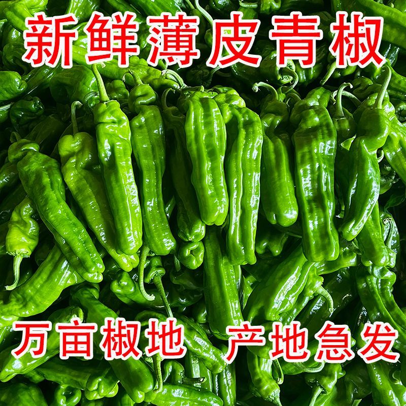 内蒙无呼叫，昼夜温差大，口感好，皮薄