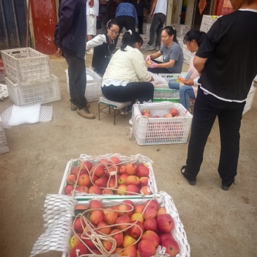 昭通苹果🍎