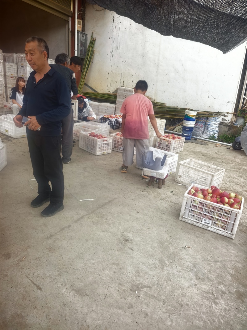 昭通苹果🍎