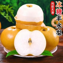丰水梨一件代发