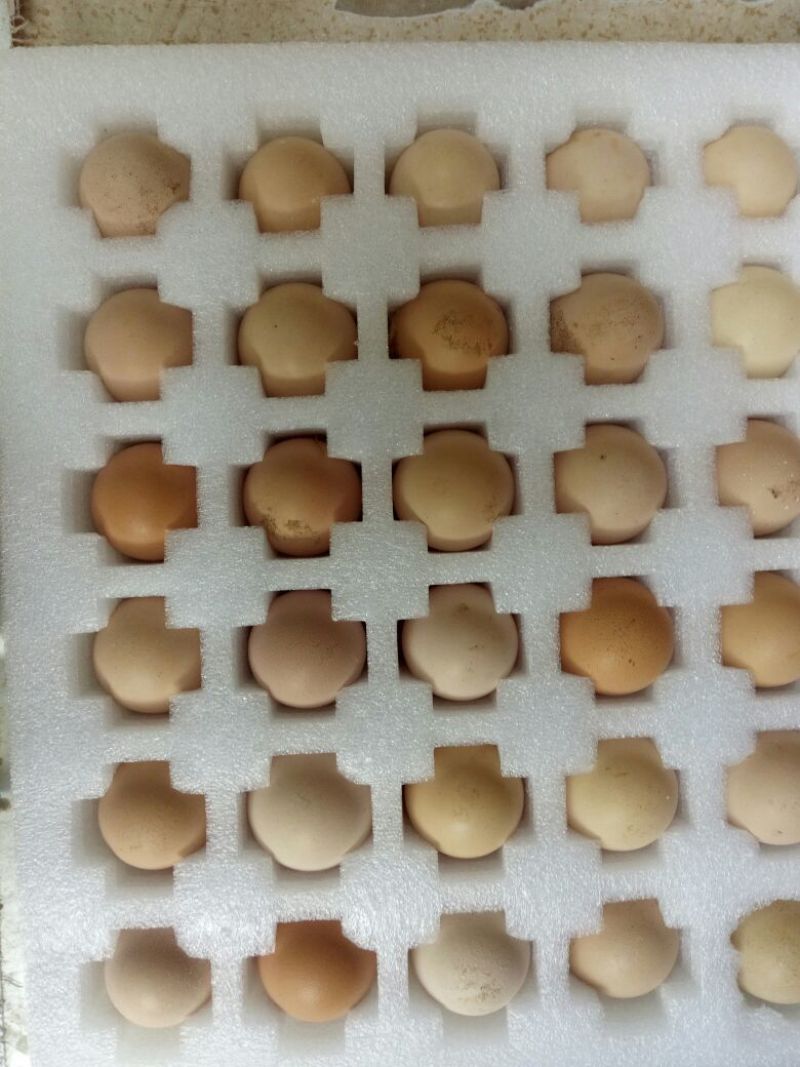 土鸡蛋食用40~50g