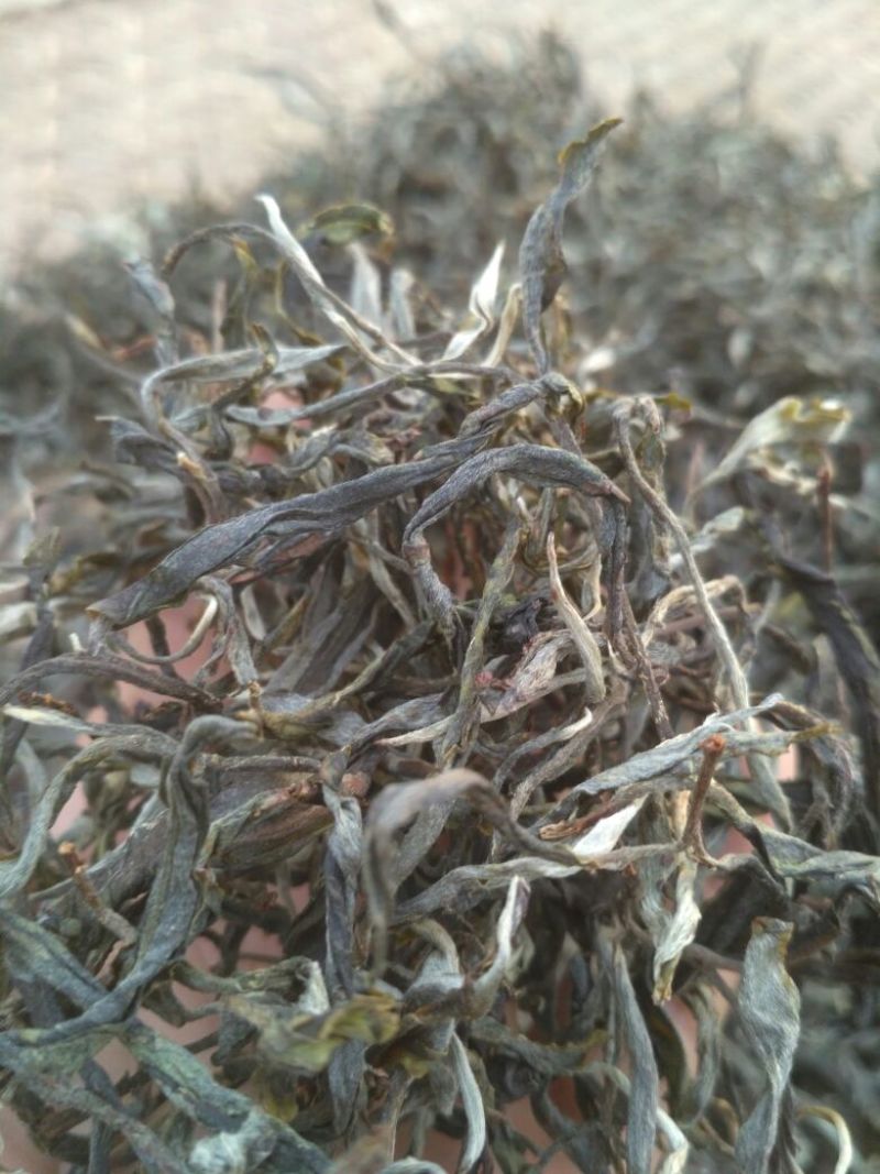 普洱茶