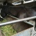 肉马100~200kg