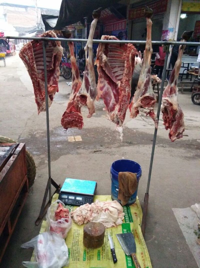 普通羊肉山羊肉否带骨
