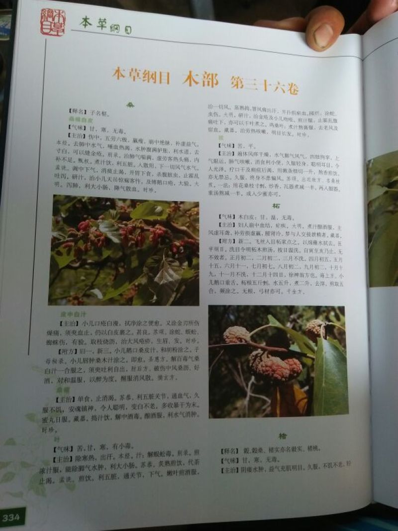 桑葚酒