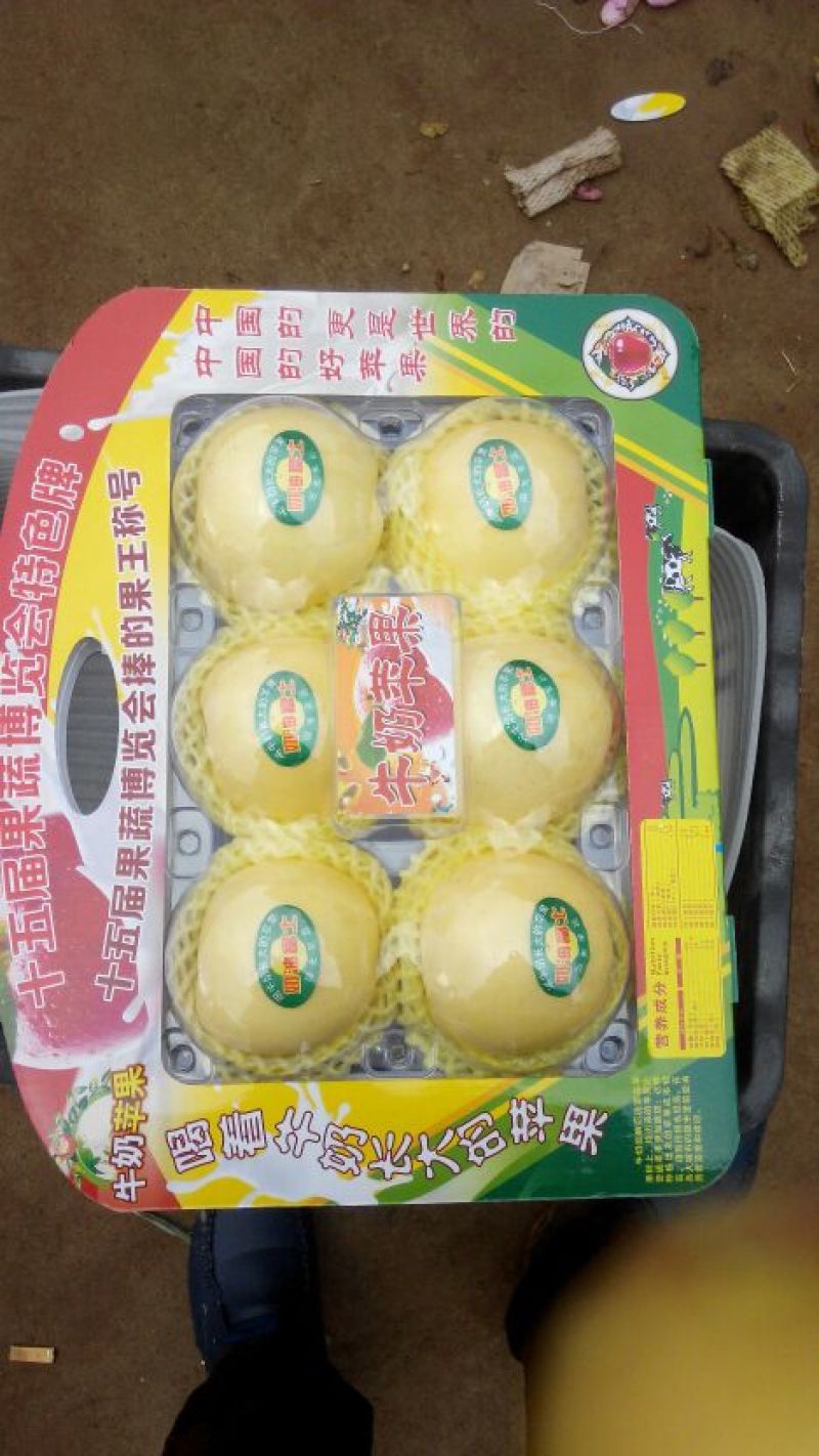 奶油富士
