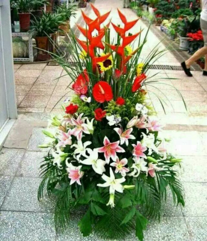 发财树