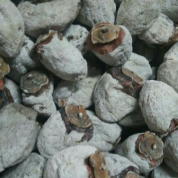 柿饼1~2两