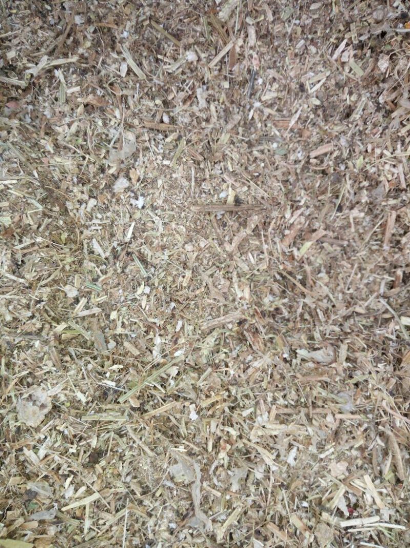 花生糠花生秧草粉