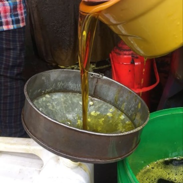 压榨菜籽油