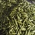 绿皮西葫芦0.6斤以上