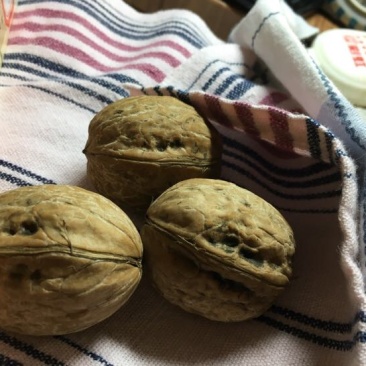 香玲核桃