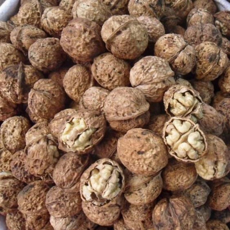 纸皮核桃去皮
