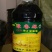 胡麻油