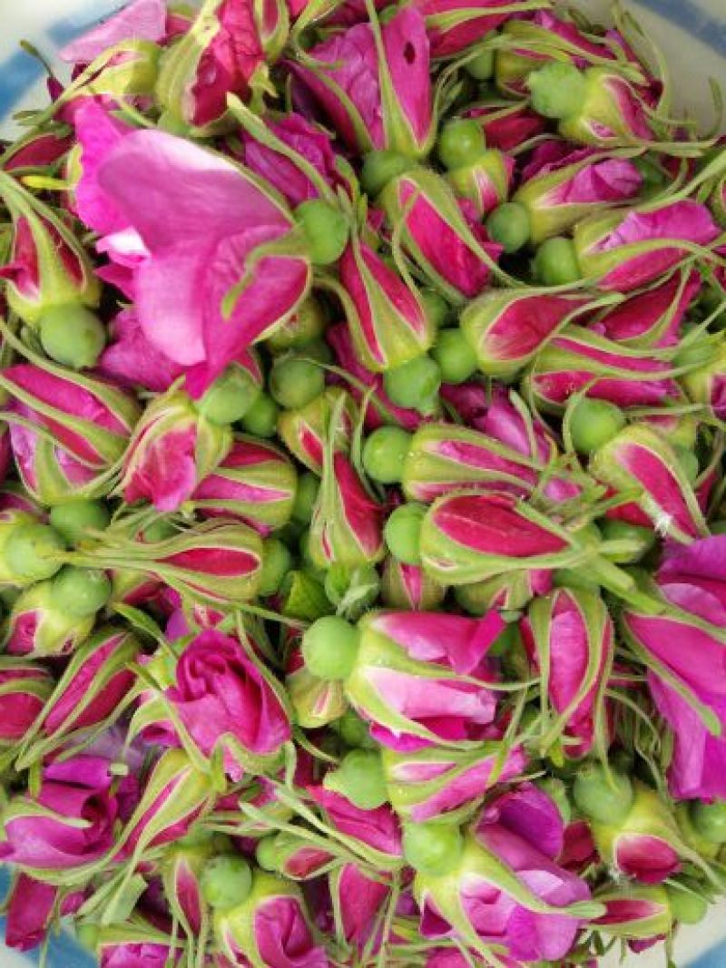 玫瑰花茶
