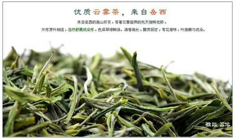 岳西高山绿茶耐泡型