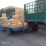 【推荐】山东滕州荷兰十五土豆3两以上个头均匀整车批发量大
