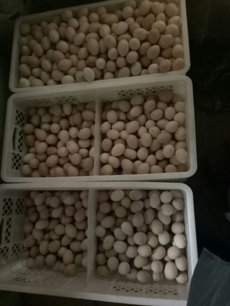 土鸡蛋食用50g以下