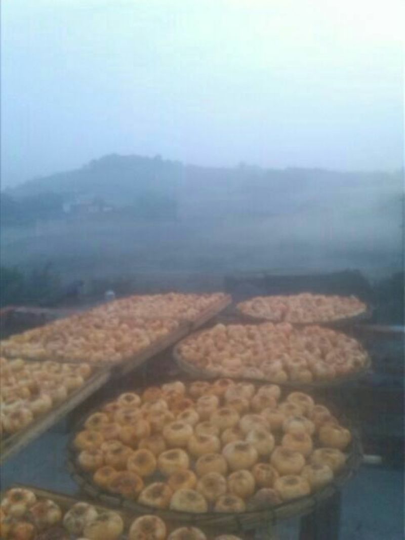 柿饼1~2两