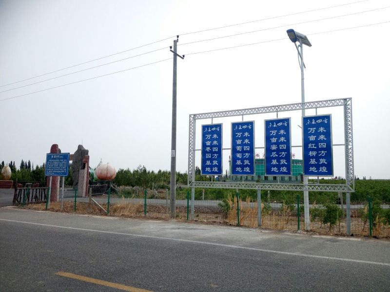 西州蜜瓜5斤以上椭圆形