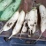 白萝卜1.5~2斤起