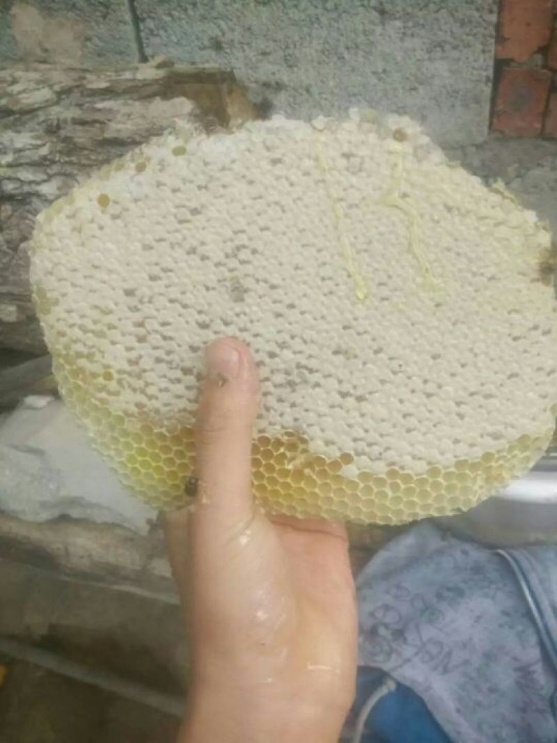 土蜂蜜
