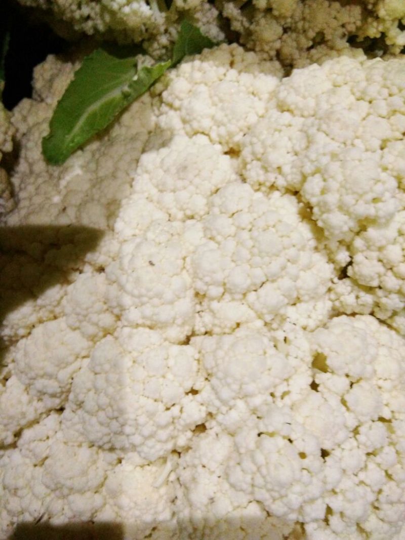 【优】白花菜花紧花乳白产地直发质量保证欢迎采购