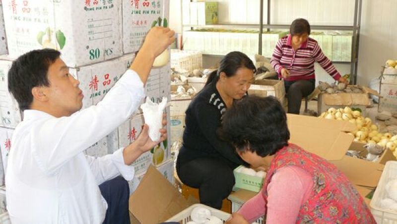 梨200~250g纸袋