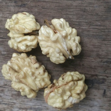薄皮核桃去皮
