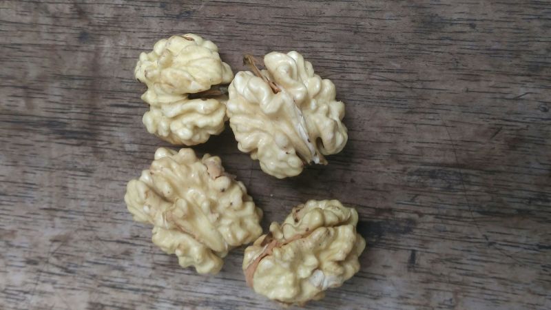 薄皮核桃去皮