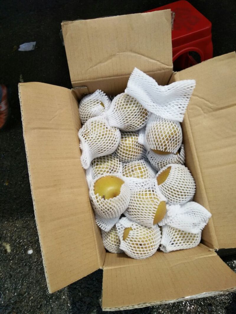 金秋梨500~550g纸箱