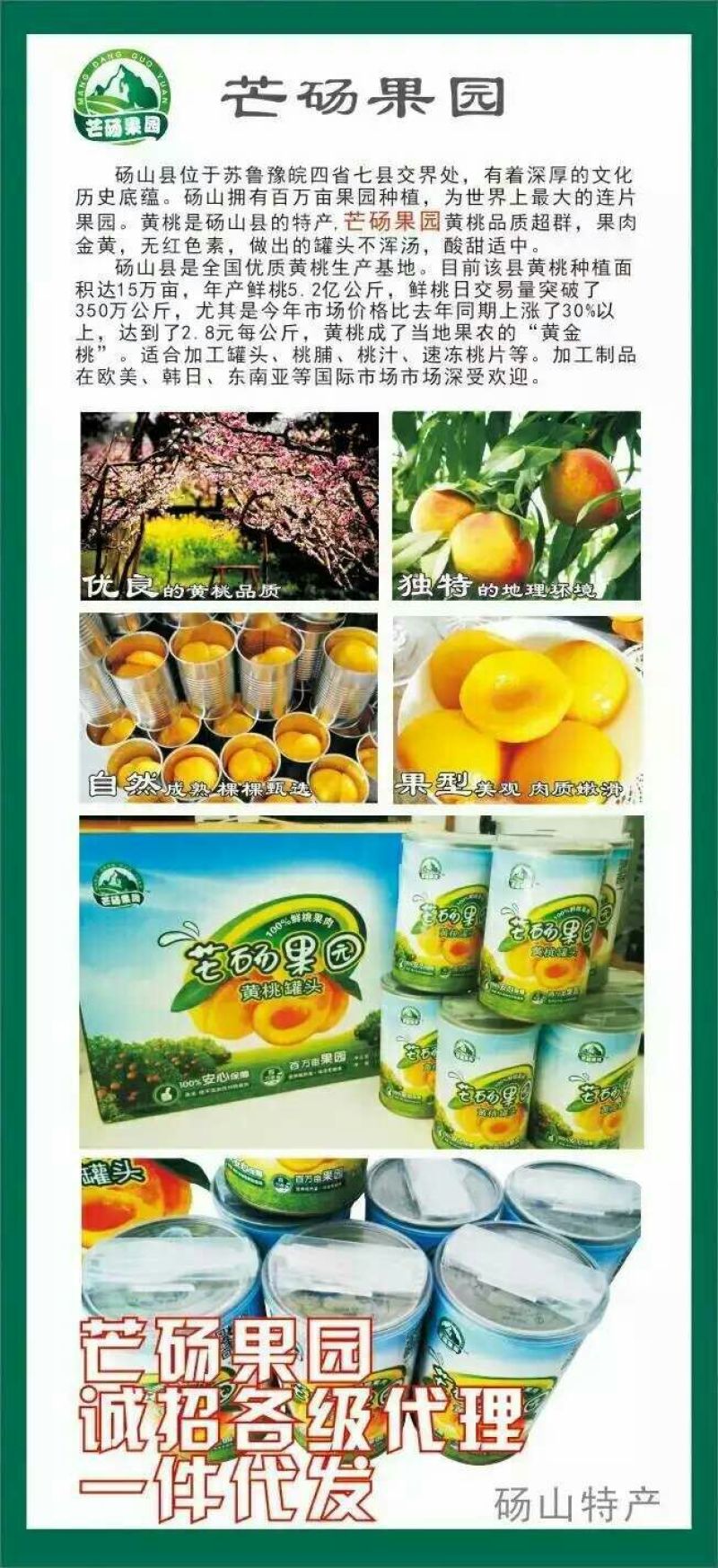 黄桃罐头