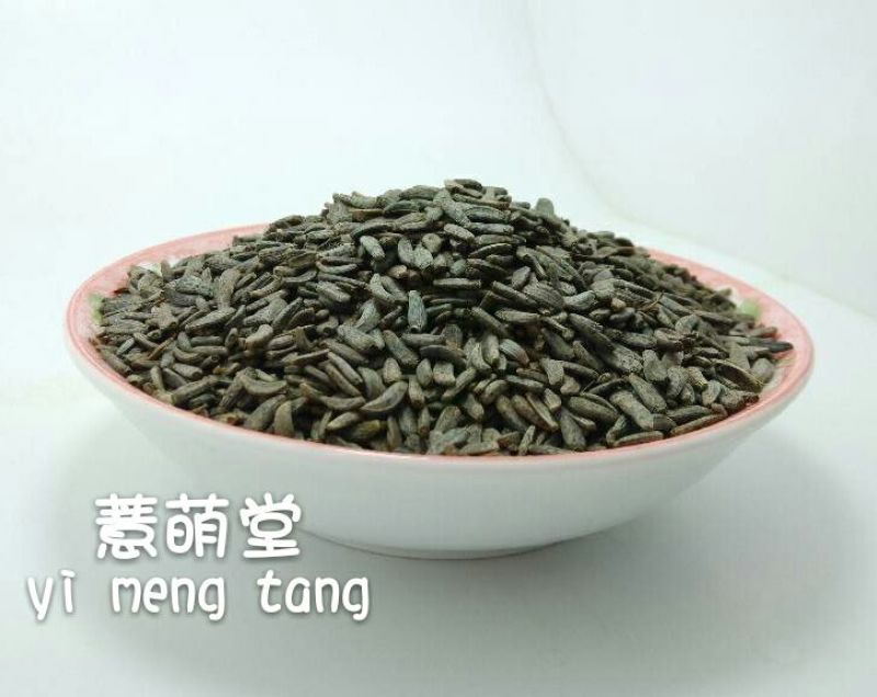 牛籽