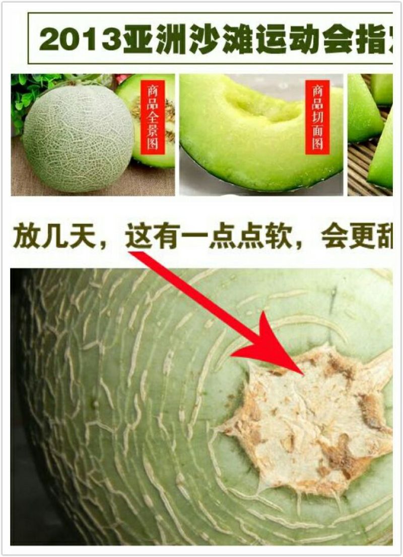 网纹瓜3斤以上椭圆形