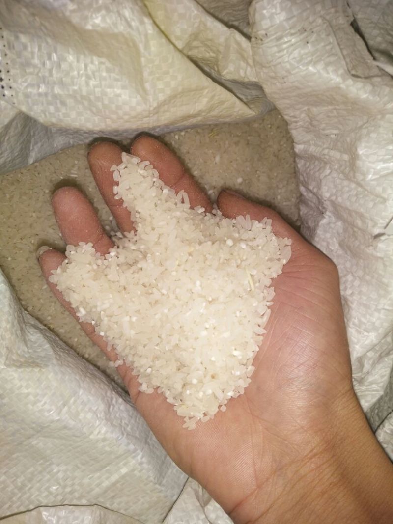 大米新米特级