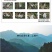 干竹荪