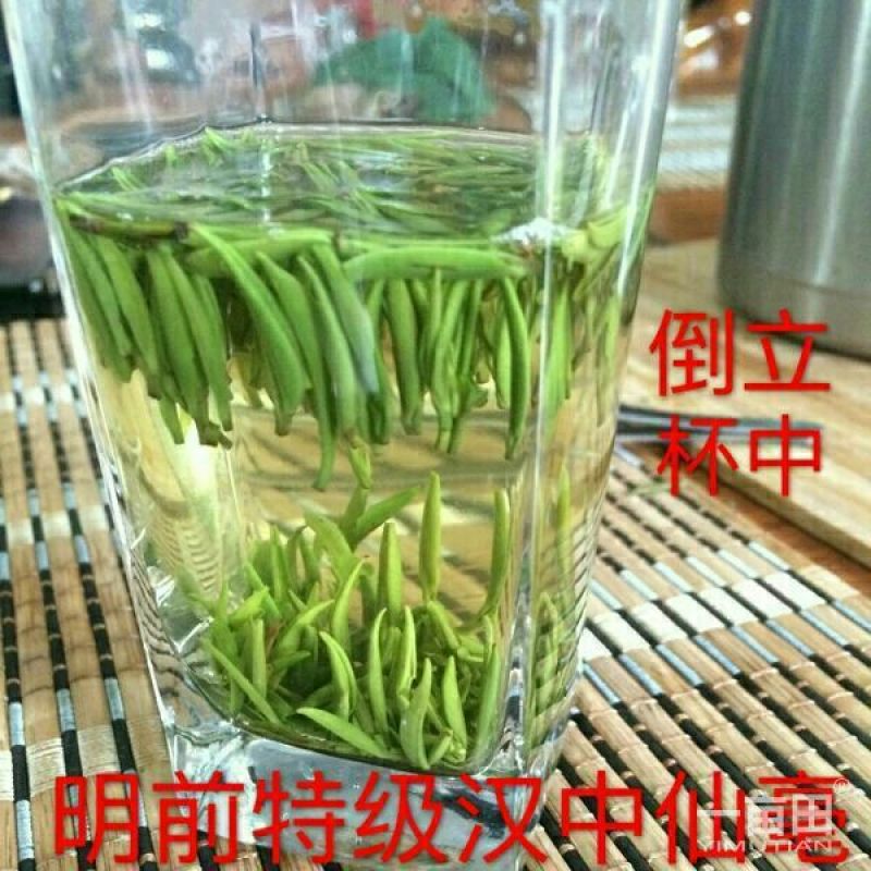 观音茶特级