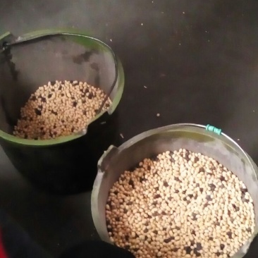 豆筋包装