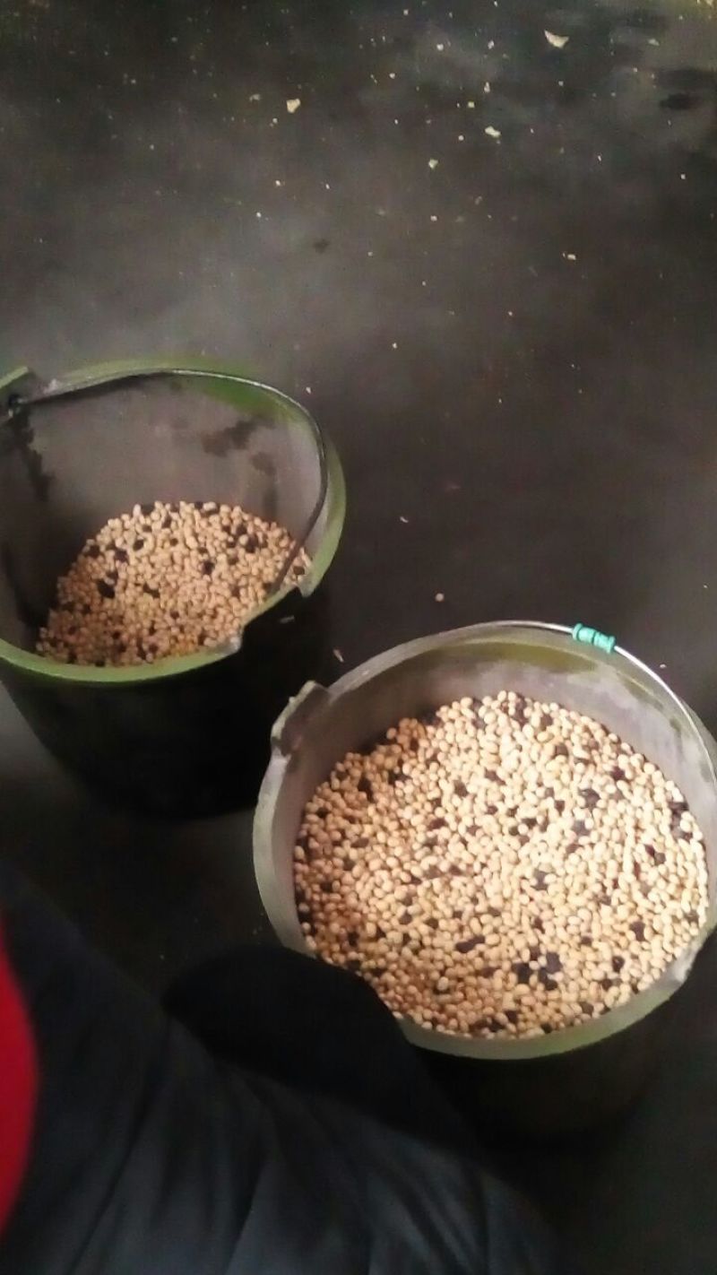 豆筋包装