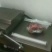 驴肉