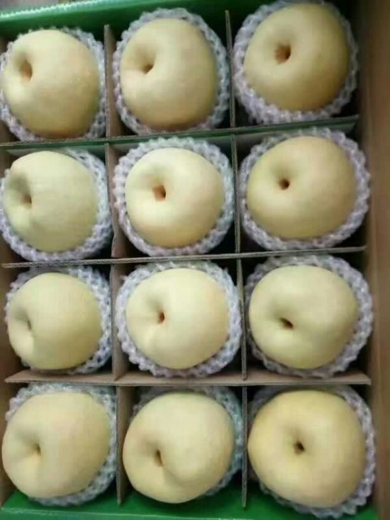 礼泉酥梨150~200g纸袋