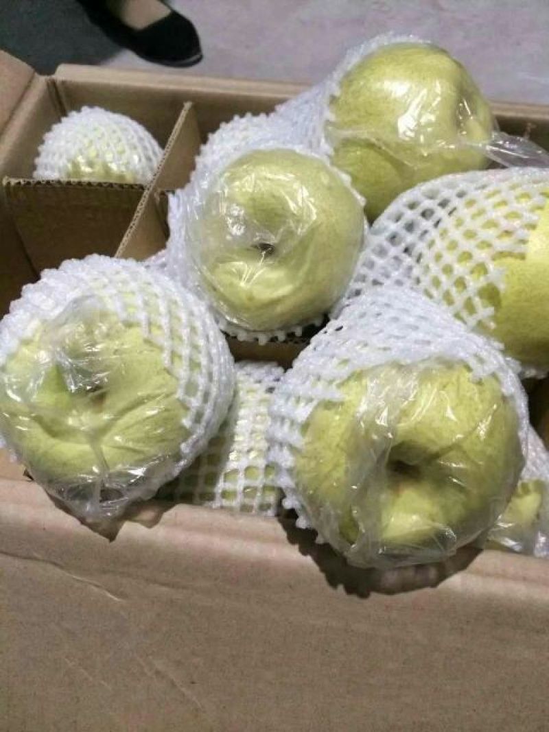 酥梨200~250g膜袋