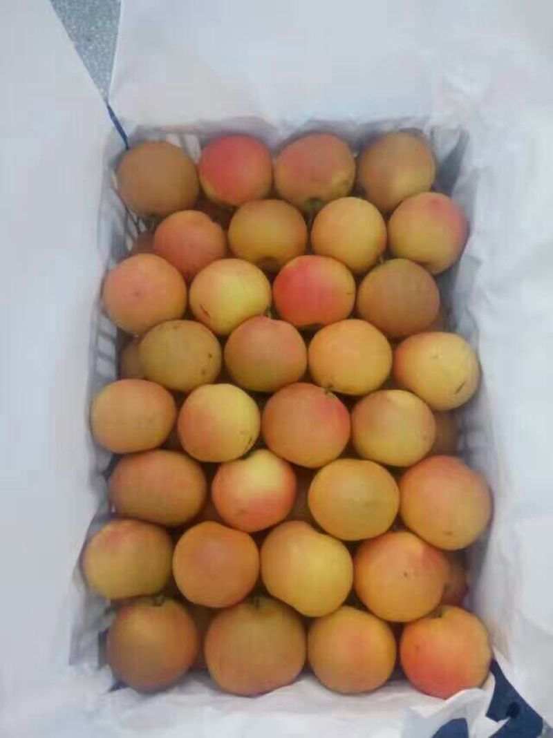 南果梨60~100g筐装